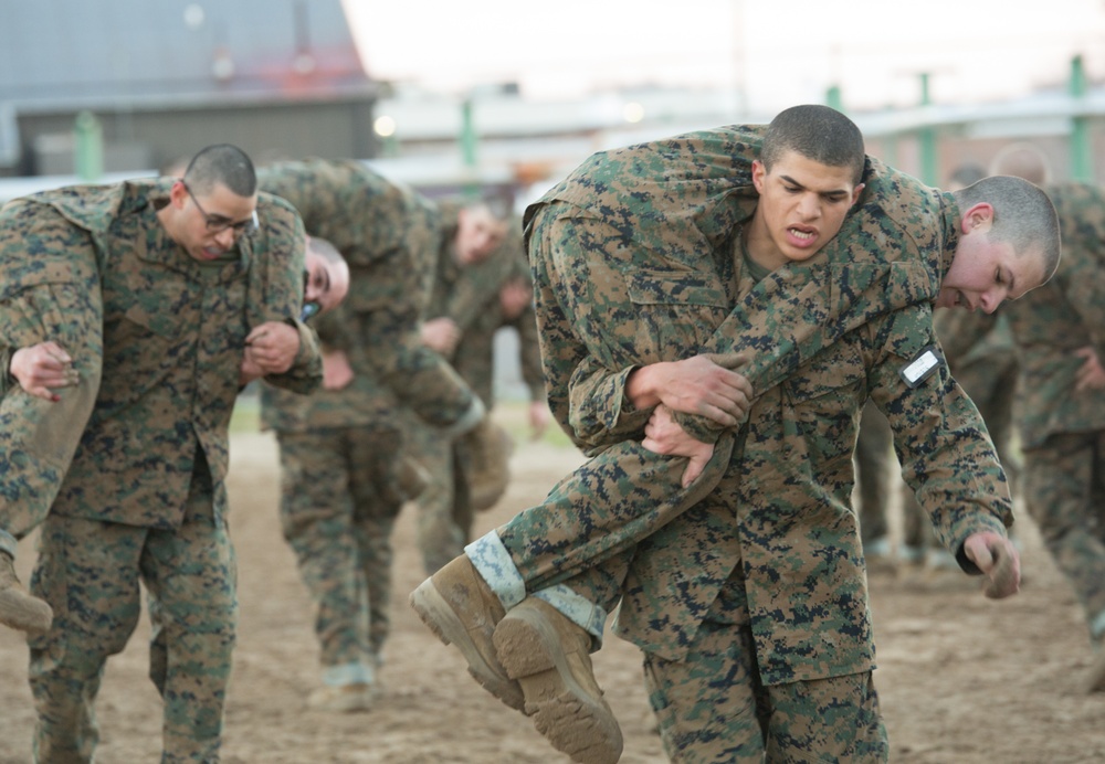 Parris Island recruits build strength, stamina to become Marines