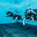 Naval Diving and Salvage Training Center training operations