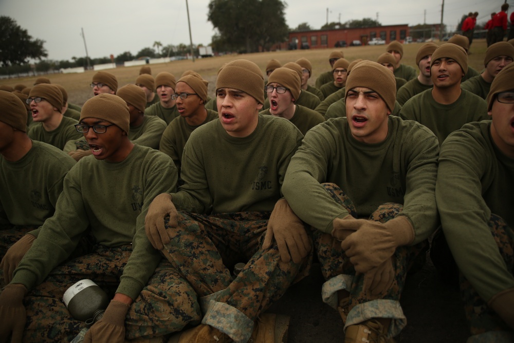 Photo Gallery: Recruits introduced to Marine Corps martial arts on Parris Island