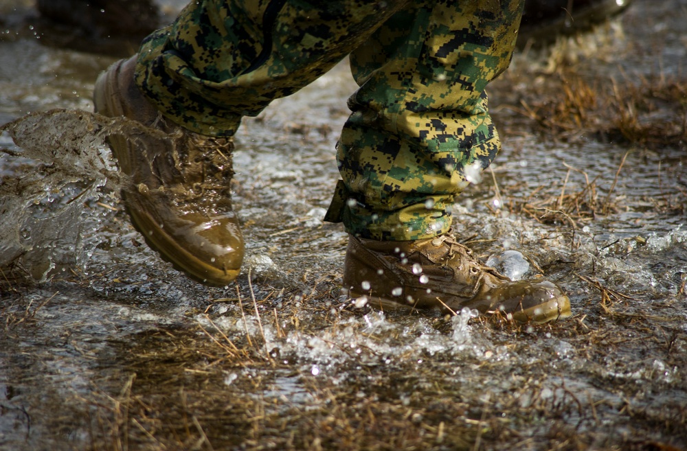 MSAU Marines complete live fire range