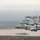 A formation of four A-10 Thunderbolt II (Warthog) attack aircraft flying in a staggered echelon formation. The lead aircraft bears the name 'Fort Smith' and displays the Arkansas state flag emblem on its tail fin, indicating these belong to the Arkansas Air National Guard. The aircraft are flying over a forested landscape with a body of water visible below under overcast skies.