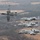 Four A-10 Thunderbolt II (Warthog) aircraft are flying in formation over a rural landscape with fields and bare winter trees. The aircraft display Arkansas Air National Guard markings, with 'FS' tail codes and 'ARKANSAS' text visible on the tail fins. The foreground aircraft on the left appears to be banking away from the three aircraft flying in close echelon formation on the right.
