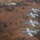 Four A-10 Thunderbolt II (Warthog) aircraft fly in a diagonal echelon formation over a flat, arid terrain featuring sparse trees, dry grassland, and small ponds. The aircraft appear to be U.S. Air Force jets, identifiable by their distinctive twin-tail, straight-wing design and nose-mounted GAU-8 cannon housing. The aerial photograph was likely taken from a fifth aircraft or chase plane flying alongside the formation.