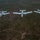 Four A-10 Thunderbolt II (Warthog) aircraft are flying in a formation over a densely forested area. The aircraft are photographed from above and slightly behind, showing their distinctive twin-engine, straight-wing configuration. The terrain below consists of mixed coniferous and deciduous forest with visible dirt trails intersecting near the bottom of the frame.