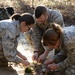 Ability to survive and operate exercise