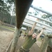 Photo Gallery: Parris Island recruits tackle obstacle for title Marine