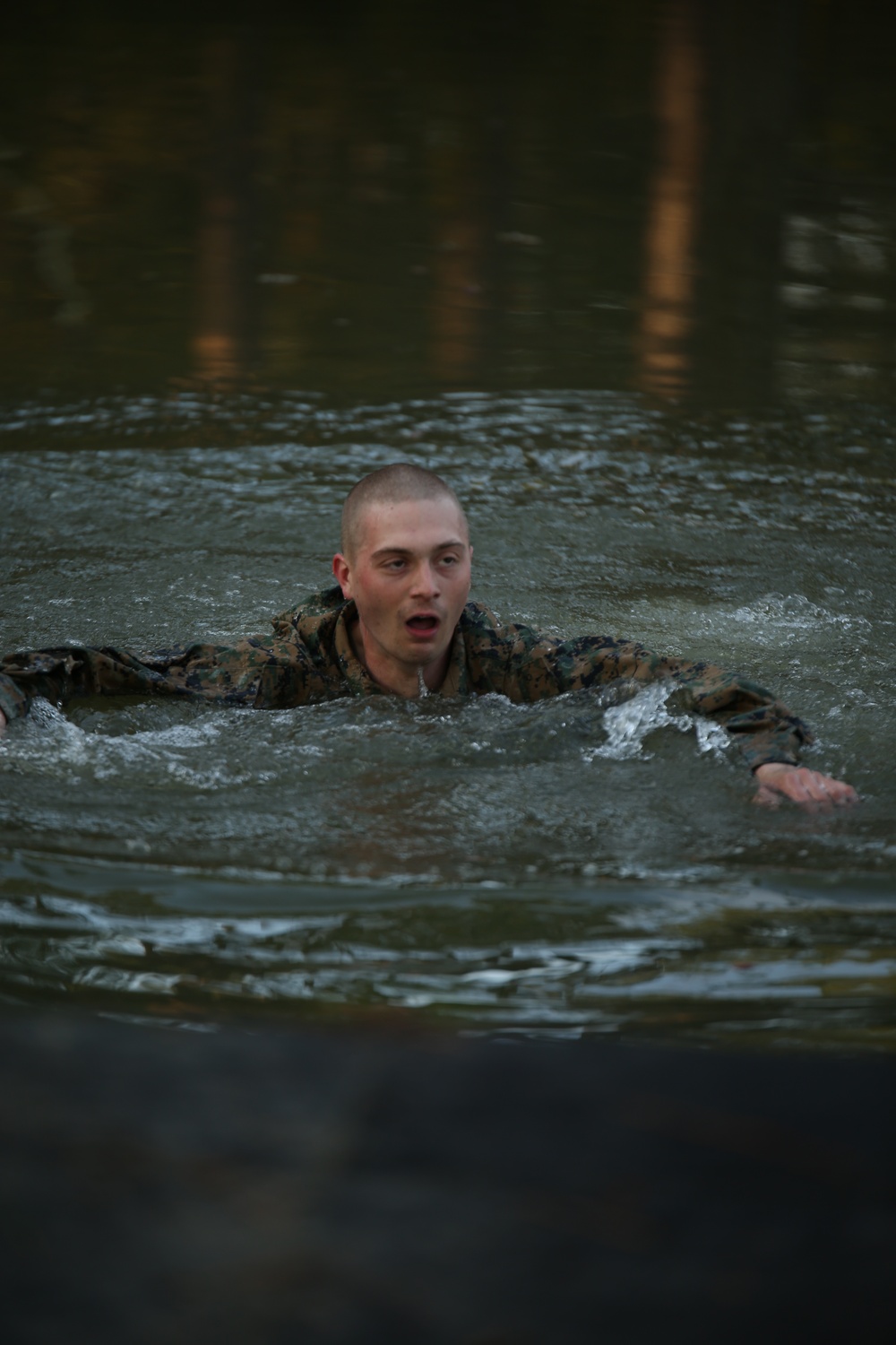 Photo Gallery: Parris Island recruits tackle obstacle for title Marine