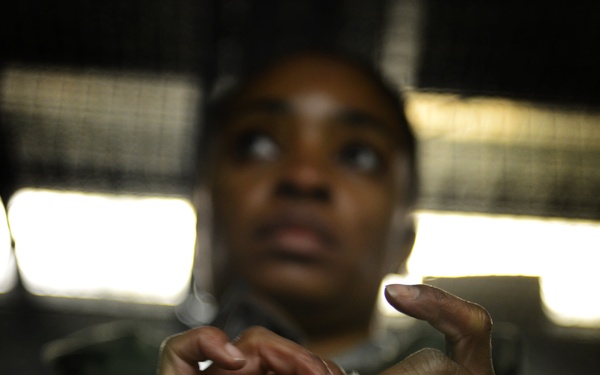 Ability to Survive and Operate Exercise