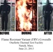 Flame-resistant variant coveralls
