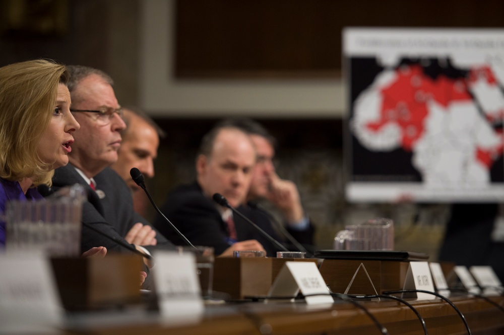 US Senate Armed Services Committee hearing