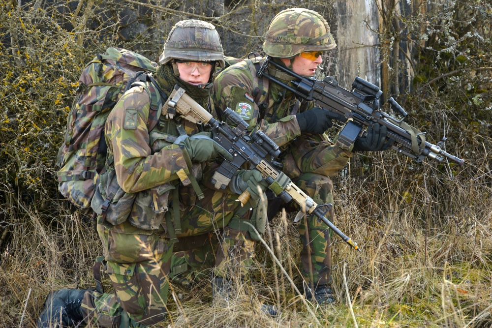 EU Battlegroup 'Rampant Lion' exercise in Grafenwoehr, Germany