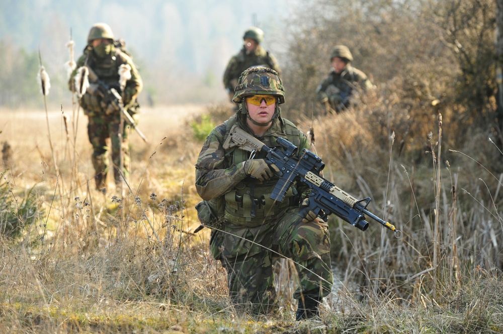 EU Battlegroup 'Rampant Lion' exercise in Grafenwoehr, Germany