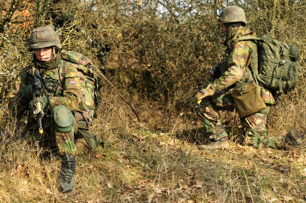 EU Battlegroup 'Rampant Lion' exercise in Grafenwoehr, Germany