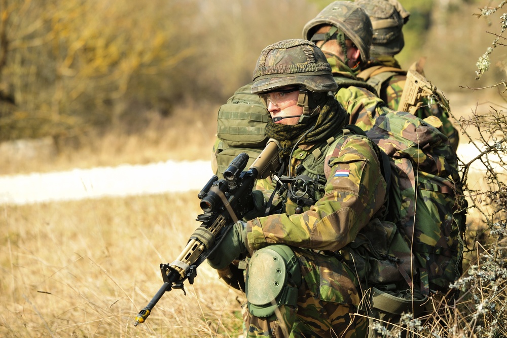 EU Battlegroup 'Rampant Lion' exercise in Grafenwoehr, Germany