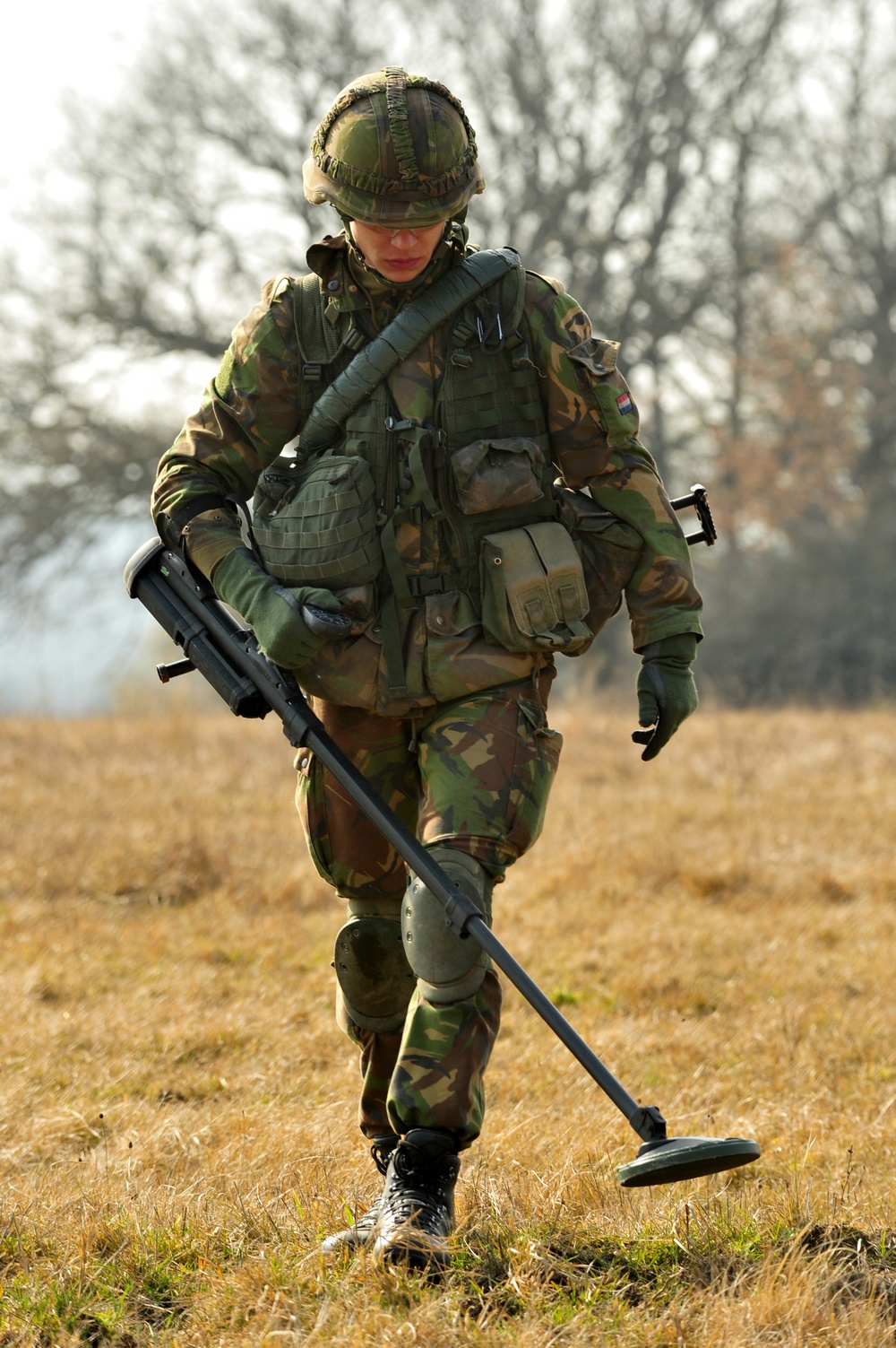 EU Battlegroup 'Rampant Lion' exercise in Grafenwoehr, Germany