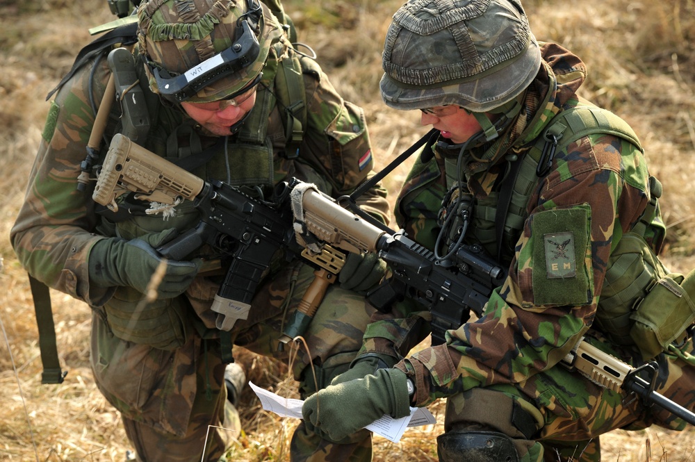 EU Battlegroup 'Rampant Lion' exercise in Grafenwoehr, Germany