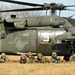 EU Battlegroup 'Rampant Lion' exercise in Grafenwoehr, Germany