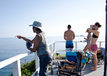 MCB Hawaii hosts whale count volunteers