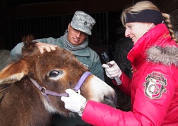 Forgotten Angels not forgotten