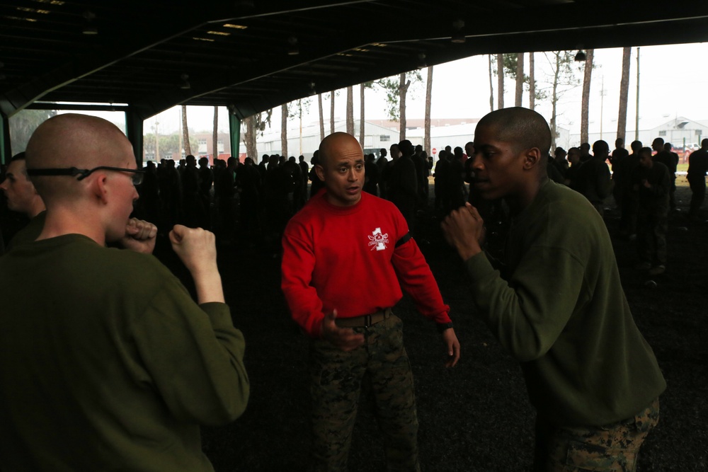 Photo Gallery: Marine recruits partner up for martial arts training on Parris Island