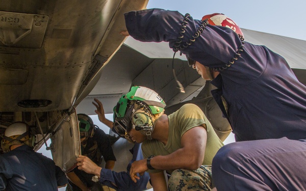Bats' maintainers keep bats buzzing