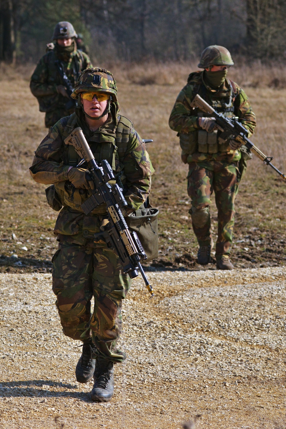 EU Battlegroup 'Rampant Lion' Exercise in Grafenwoehr, Germany