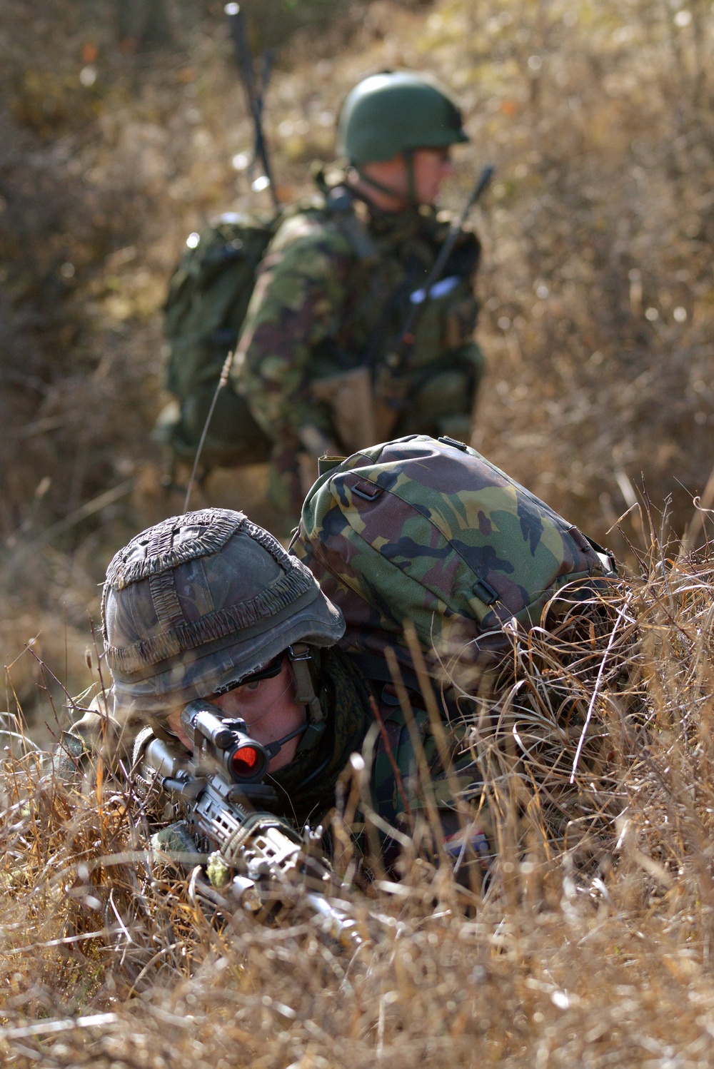 EU Battlegroup 'Rampant Lion' Exercise in Grafenwoehr, Germany
