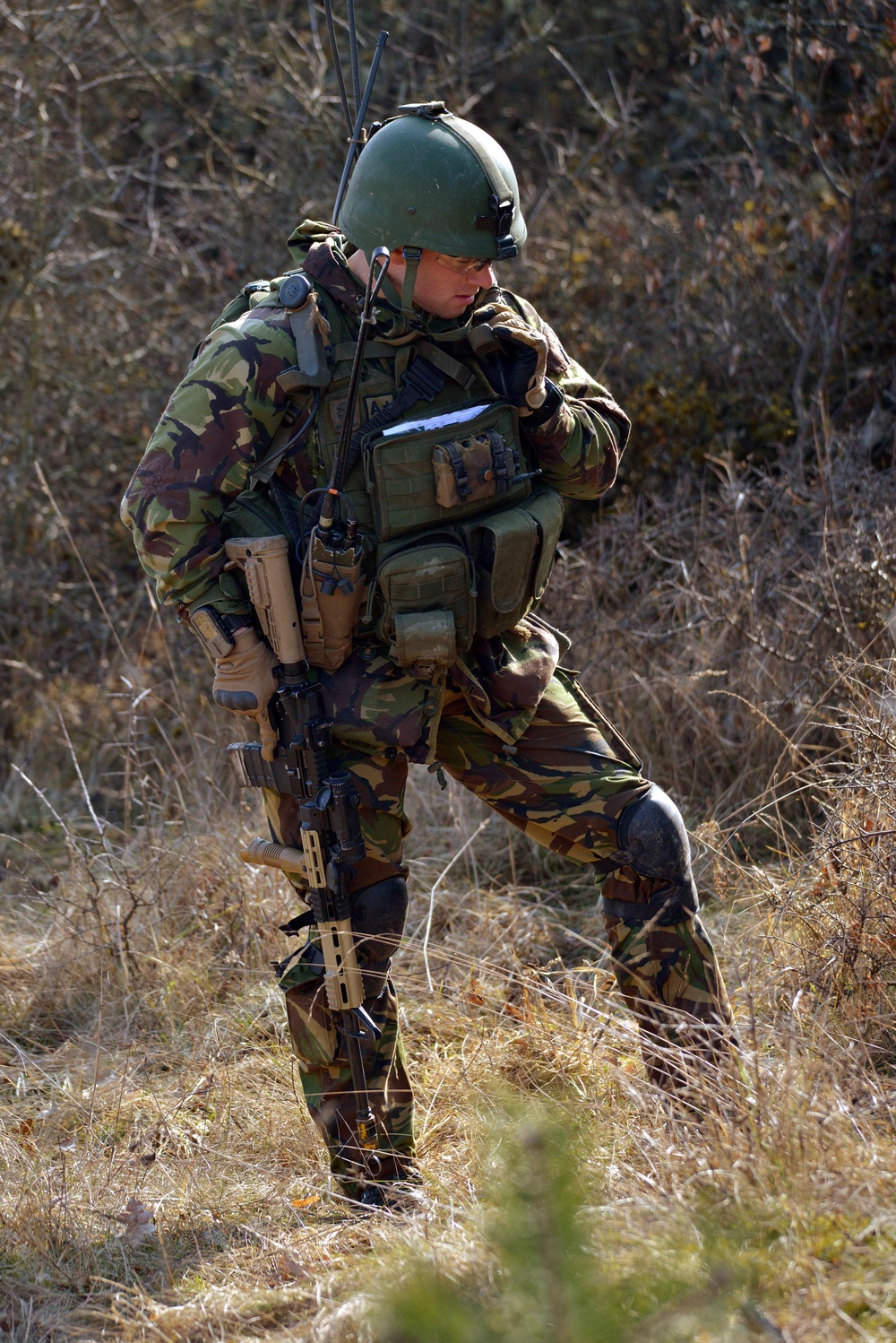EU Battlegroup 'Rampant Lion' Exercise in Grafenwoehr, Germany
