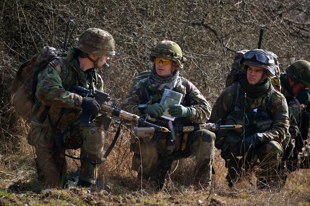 EU Battlegroup 'Rampant Lion' Exercise in Grafenwoehr, Germany