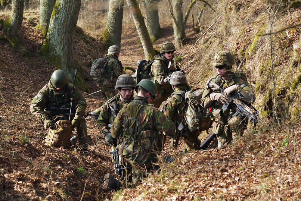 EU Battlegroup 'Rampant Lion' Exercise in Grafenwoehr, Germany