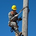 Qualification exercise for a pole rescue