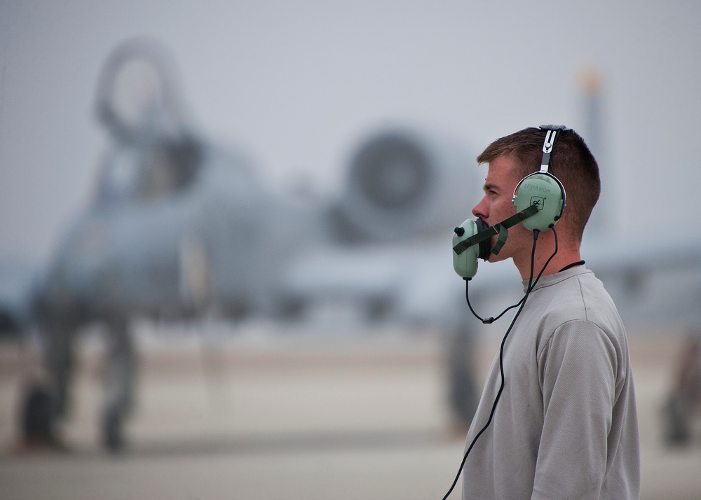 WSEP 2014: A-10 airmen
