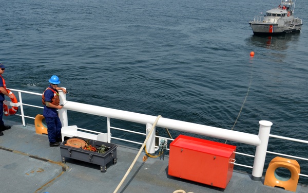 Abbie Burgess towing