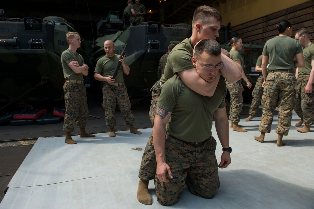 Marine Corps Martial Arts Program