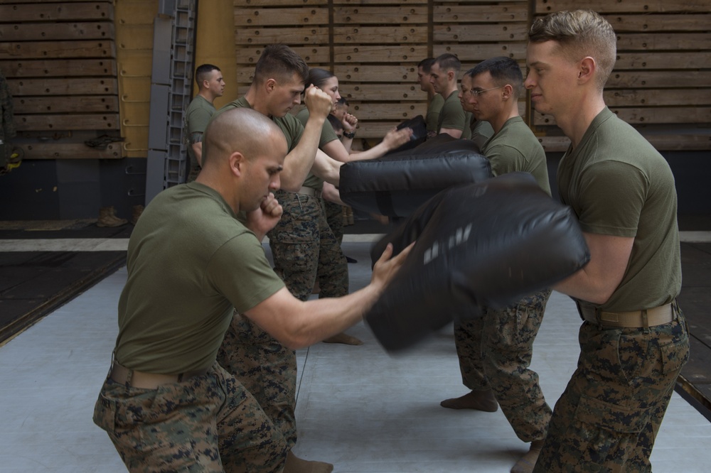 Marine Corps Martial Arts Program