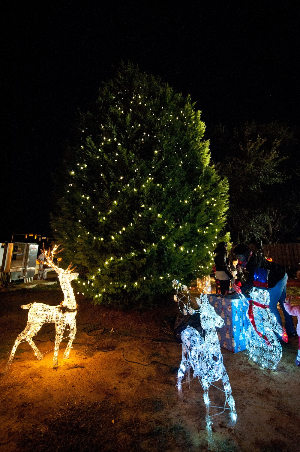 Maxwell-Gunter lights the Christmas tree