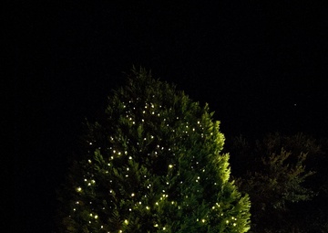 Maxwell-Gunter lights the Christmas tree