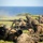 3rd Recon demonstrates firepower versatility