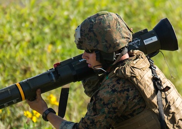 3rd Recon demonstrates firepower versatility