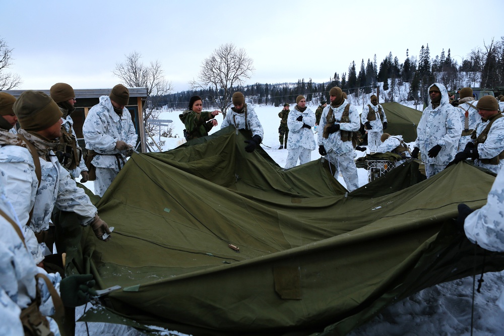 Arctic tent skills