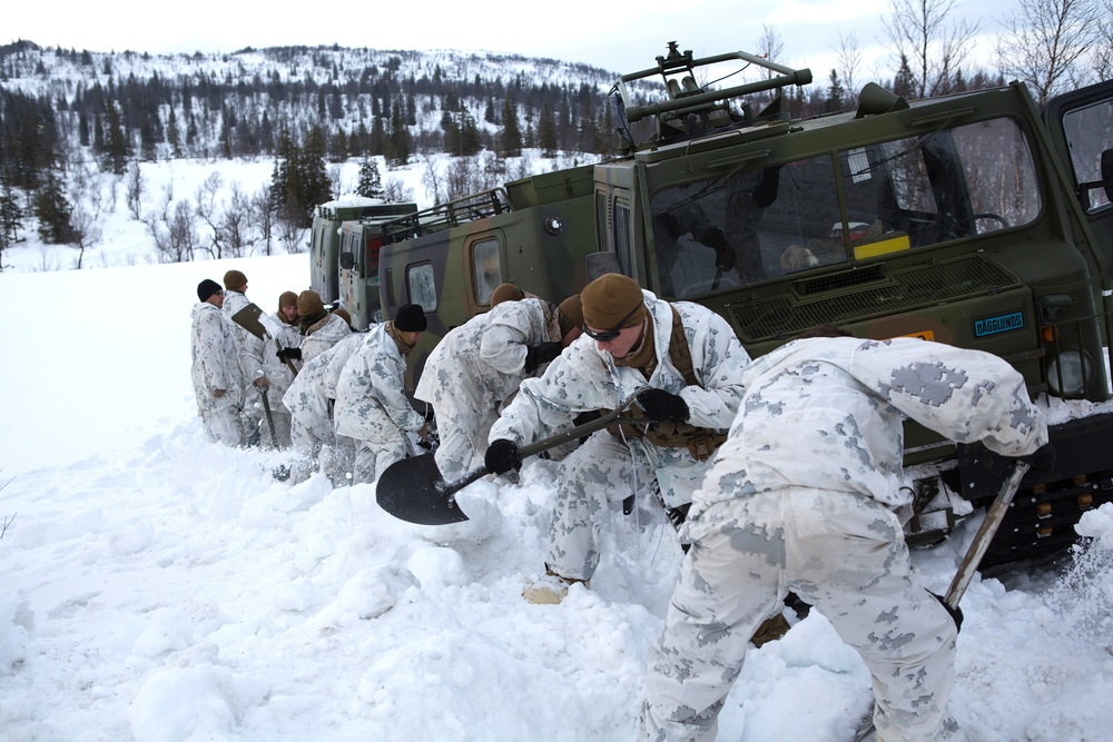 Cold Response 14 in Norway
