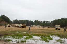 Vipers weather storm on STX