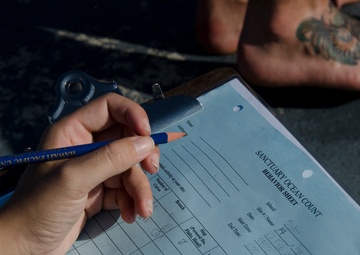 MCB Hawaii hosts whale count volunteers