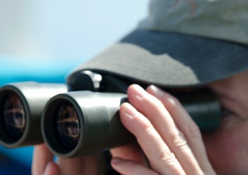 MCB Hawaii hosts whale count volunteers