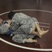210th FA Brigade combatives team dinner and 2ID tournament
