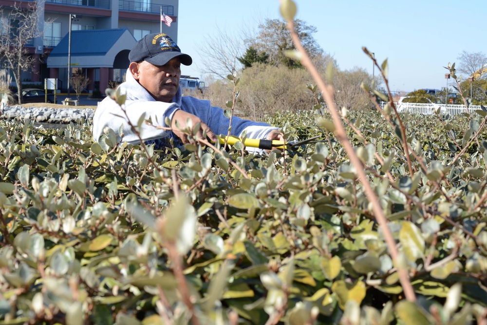 Senior Chief Machinist's Mate trims bushes at headquarters of People for the Ethical Treatment of Animals