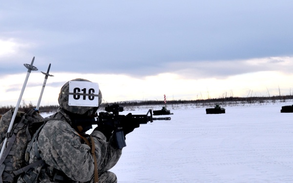 US Army Alaska Winter Games 2014