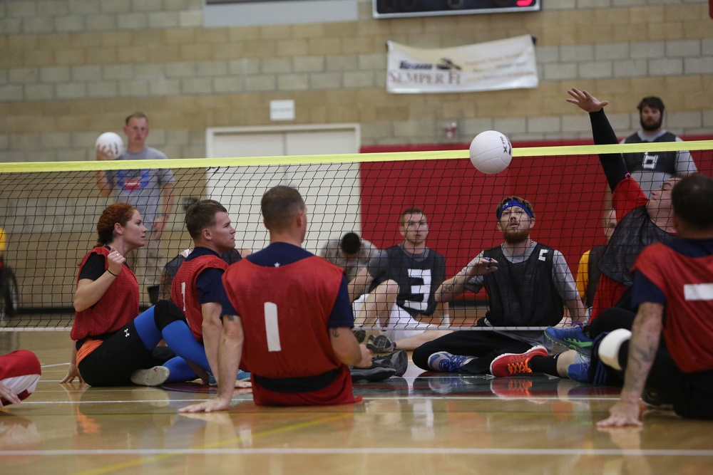 2014 Marine Corps Trials sitting volleyball gold competition