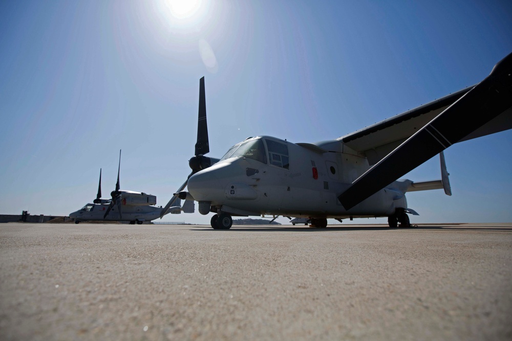 Korean Theatre Training (KTO)