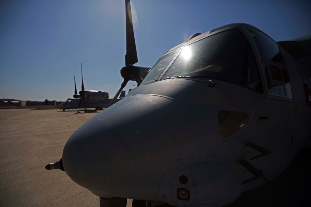 Korean Theatre Training (KTO)